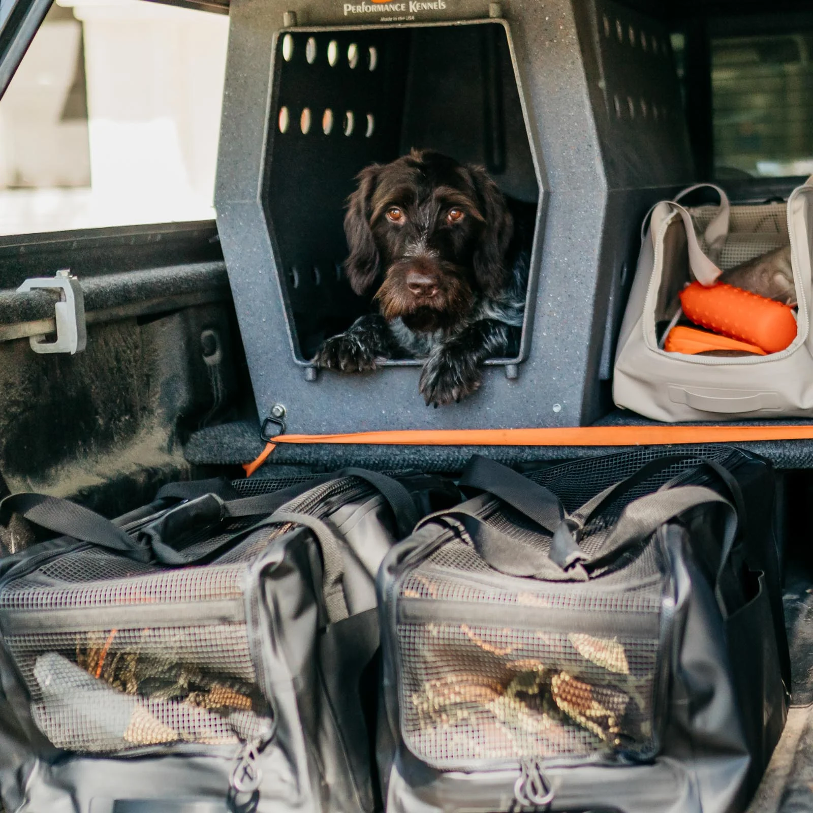 CASSI | Duffel Bag | 58L Gear Commander - Image 57
