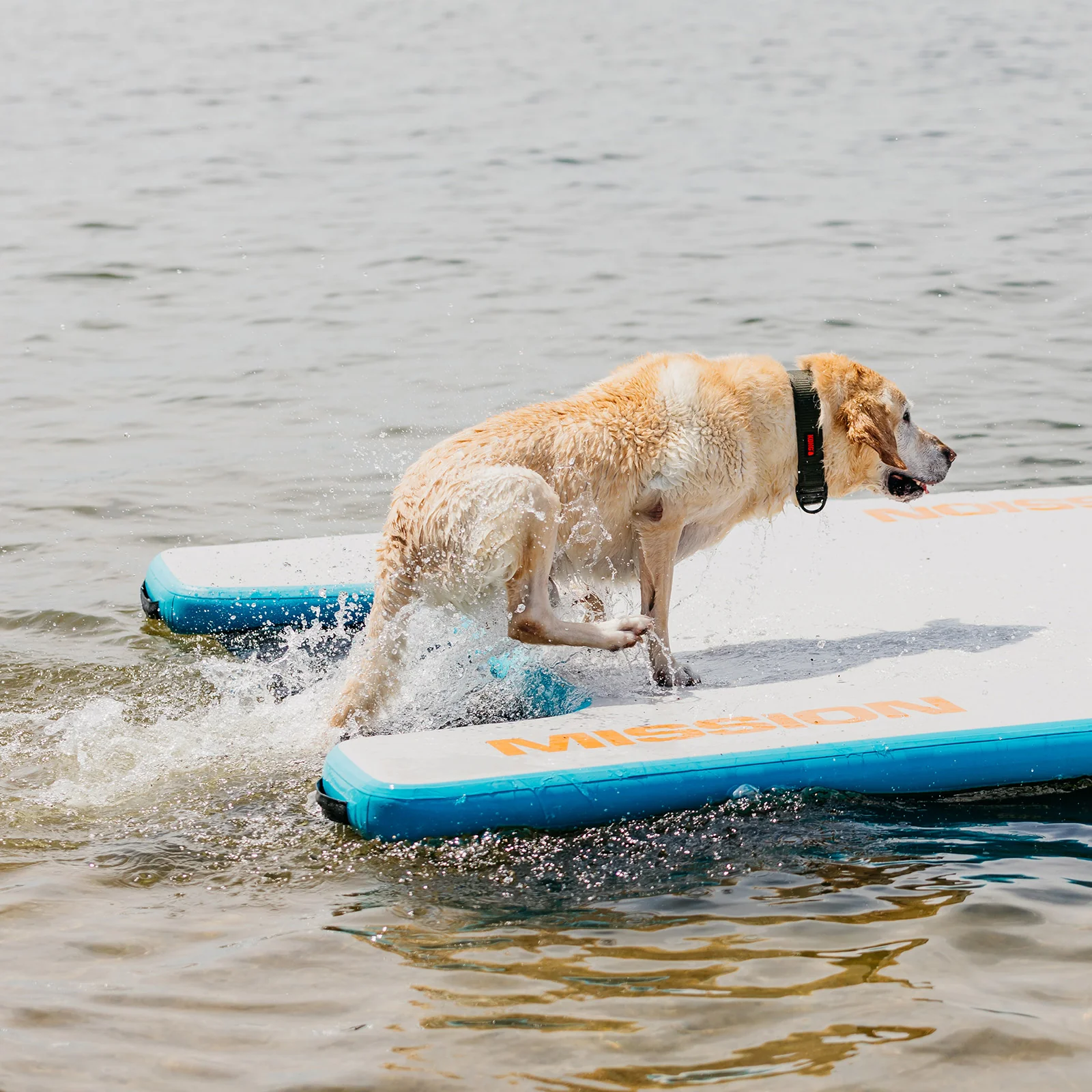 REEFLITE | Inflatable Water Mat | Compact + Easy-up - Image 8