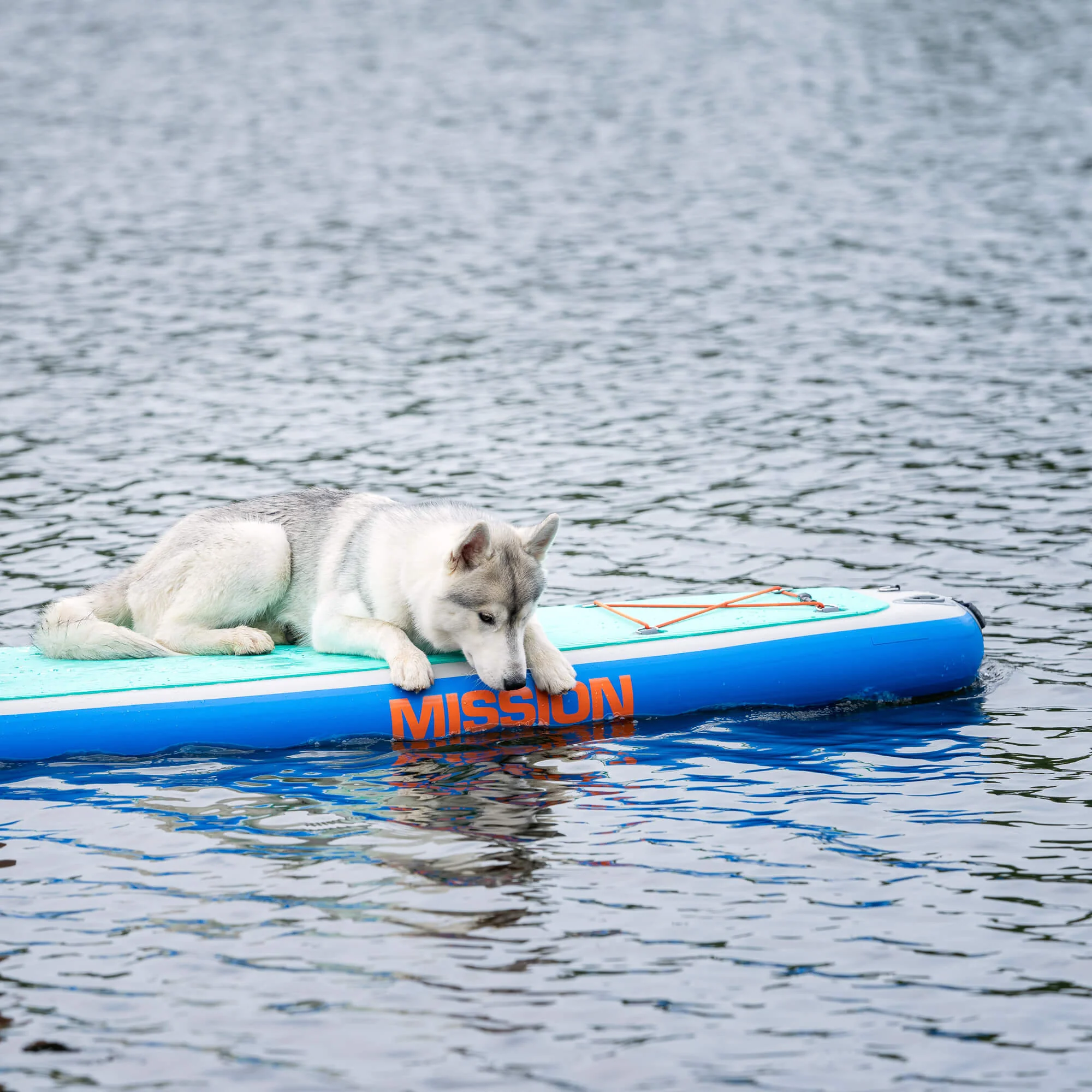 ZEN | MISSION Inflatable SUP | iSUP - Image 9